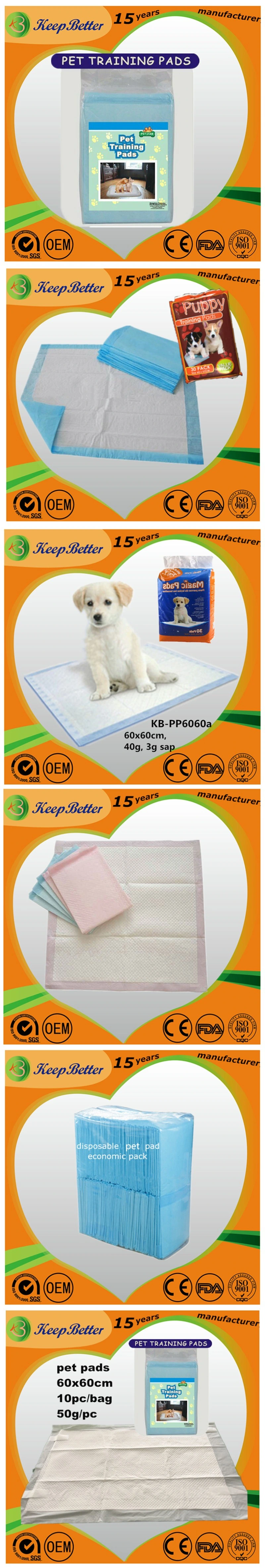 Pets/Dogs/Puppy/Cats Incontinence Training Sleeping PEE Wee Wee Pad