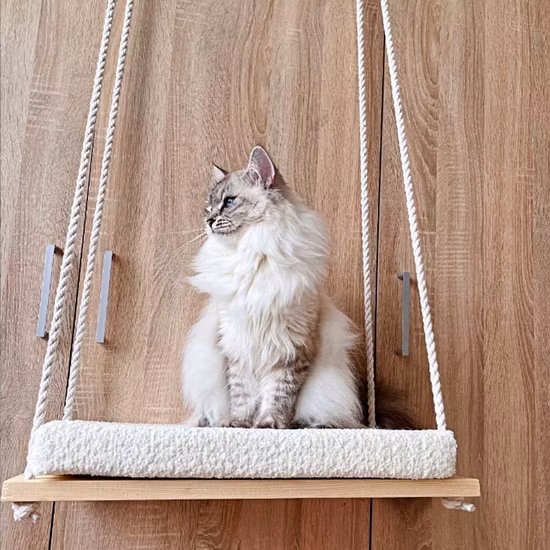 Mewoofun Multifunctional Cat Bed Cat Window Perch Hammock Cat Bed Hammock